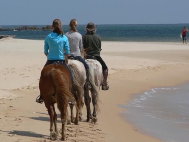 Passeggiate a Cavallo